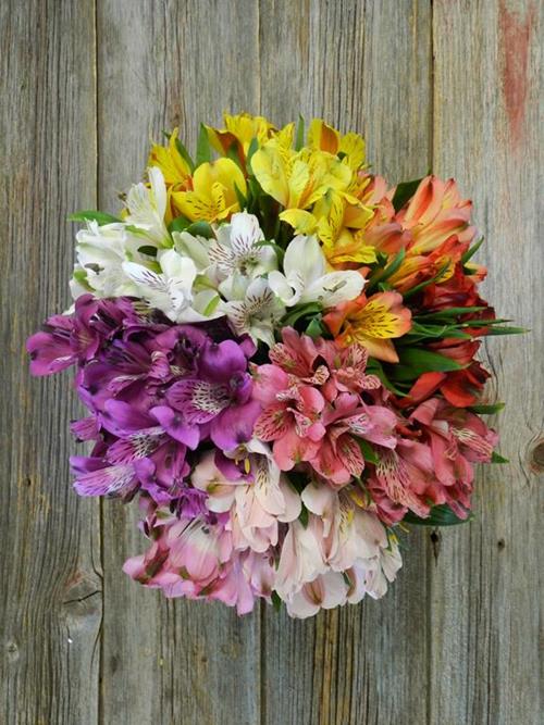 BEST SELLER ASSORTED ALSTROMERIA  COMBO BOX